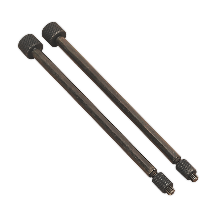 Door Hinge Removal Pin 5 x 110mm - Pack of 2 | VS803/02
