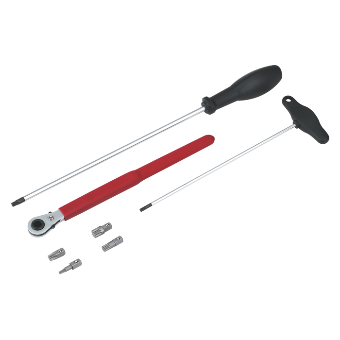 Door Hinge & Handle Removal Kit | VS805