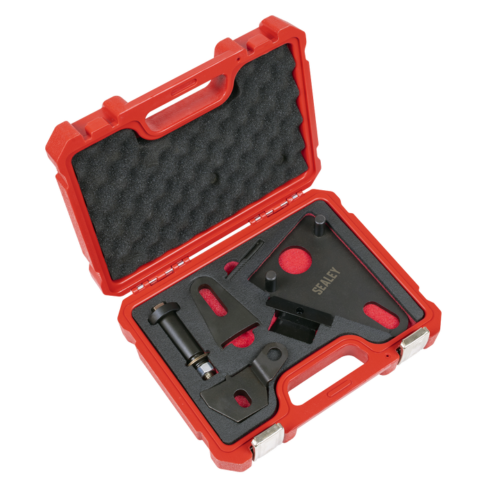 Front Pulley & Flywheel Locking Tool Set - Chain Drive | VSE5032