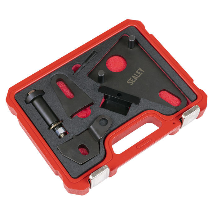 Front Pulley & Flywheel Locking Tool Set - Chain Drive | VSE5032