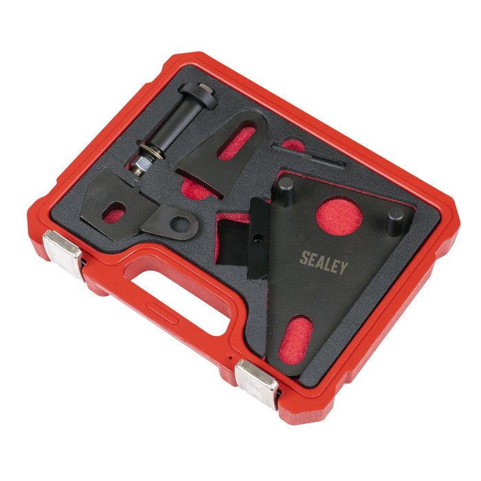Front Pulley & Flywheel Locking Tool Set - Chain Drive | VSE5032