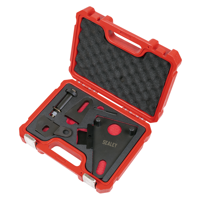 Front Pulley & Flywheel Locking Tool Set - Chain Drive | VSE5032