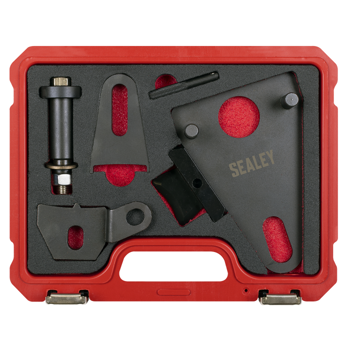 Front Pulley & Flywheel Locking Tool Set - Chain Drive | VSE5032