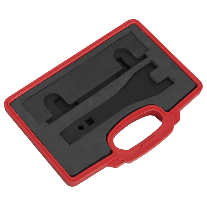 Petrol Engine Timing Tool Kit - for GM 1.0/1.4 Chain Drive | VSE5067