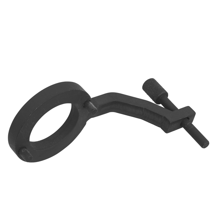 Fuel Pump Holding Tool - for Jaguar, Land Rover 3.0D TDV6 - Belt Drive | VSE5312