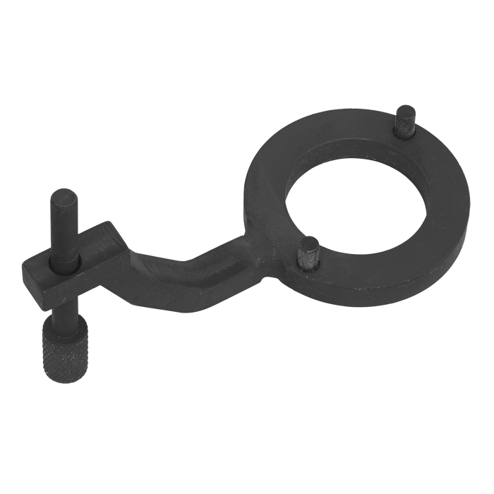 Fuel Pump Holding Tool - for Jaguar, Land Rover 3.0D TDV6 - Belt Drive | VSE5312