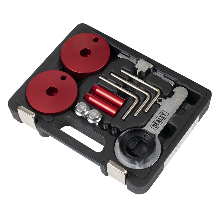 Diesel Engine Timing Tool Kit - for Ford 2.0TDCi EcoBlue - Belt Drive | VSE5640