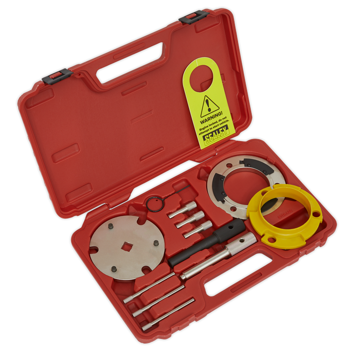 Diesel Engine Timing Tool & Injection Pump Tool Kit - 2.0D, 2.2D, 2.4D Duratorq - Chain Drive | VSE5841A