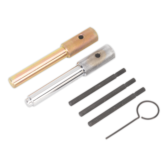 Diesel Engine Timing Tool Kit - for Ford, Fiat, JLR, LDV, PSA 2.0D/2.2D/2.4D/3.2D - Chain Drive | VSE5842