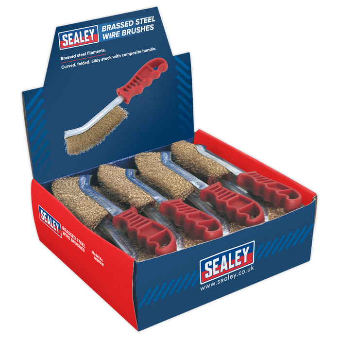Brassed Steel Wire Brush with Plastic Handle - Display Box of 24 | WB05DB24