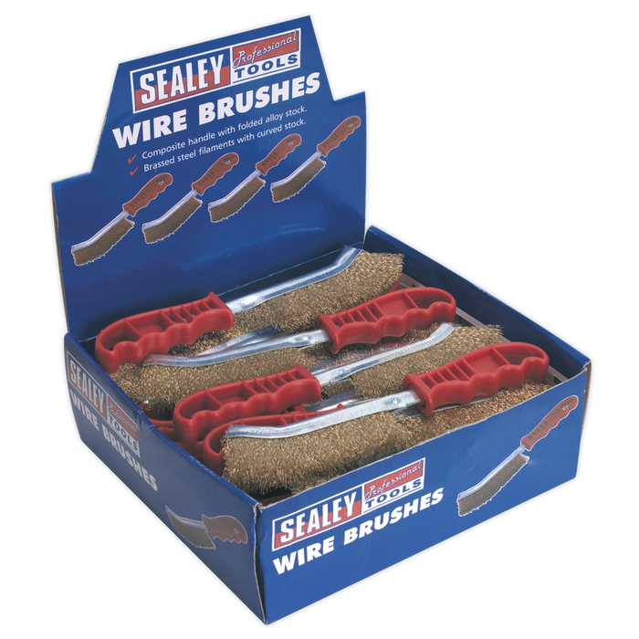 Brassed Steel Wire Brush with Plastic Handle - Display Box of 24 | WB05DB24