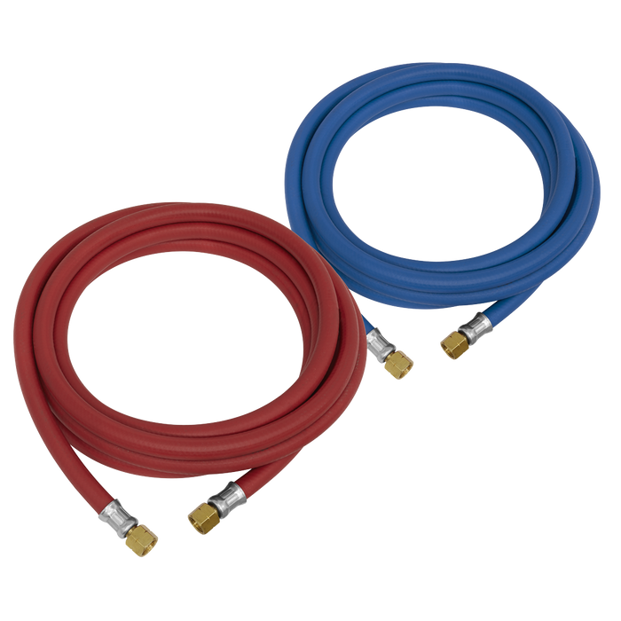 Oxy Acetylene Welding Hose Set 5m | WH05
