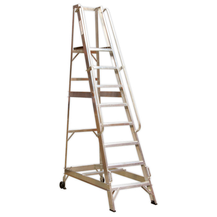 Warehouse Steps 10-Tread | WS10