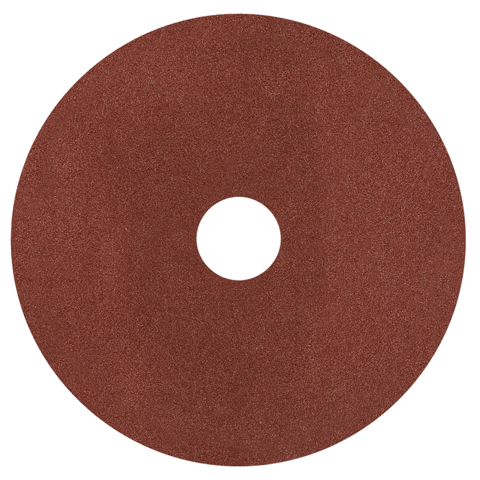 Worksafe® 125mm Fibre Backed Sanding Disc 60Grit - Pack of 25 | WSD560
