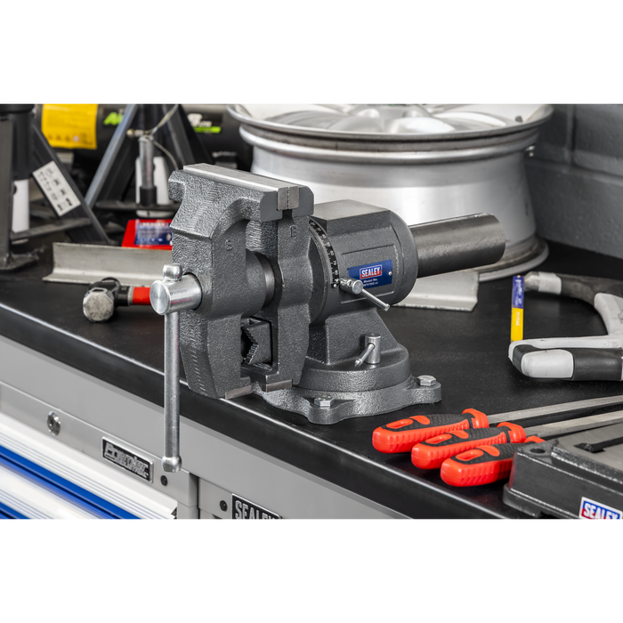 Multifunction Cast Iron Vice with Swivel Base 150mm | MFV150